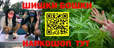 твердый Будённовск