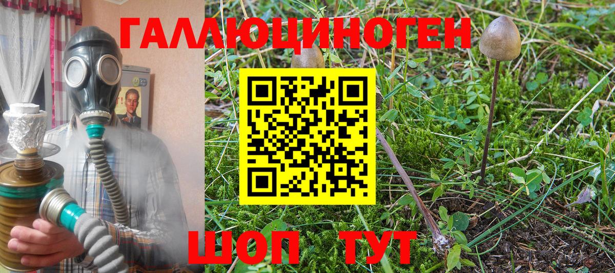 Галлюциногенные грибы Magic Shrooms  Псилоцибиновые грибы Cubensis  Новоалександровск  Вход с VPN 